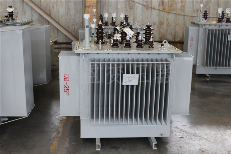 文昌S20-800kVA/10kV/0.4kV变压器